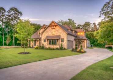 
Creative Ways to Prevent Rodent Infestations at Home